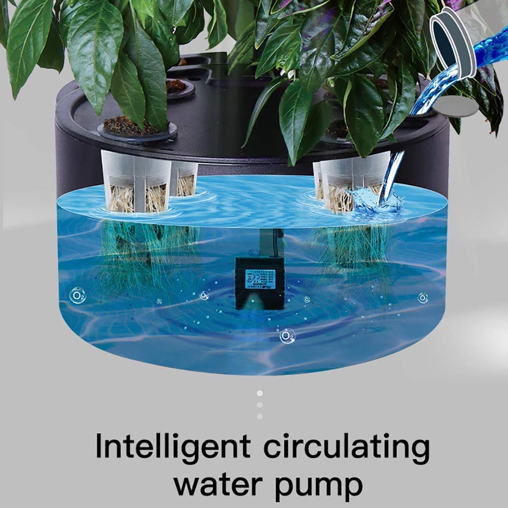 Sistema di Coltivazione idroponica, Kit di avviamento per Giardino con Erbe aromatiche da Giardinaggio a 4 baccelli con Timer Automatico, Buon Regalo per la Famiglia