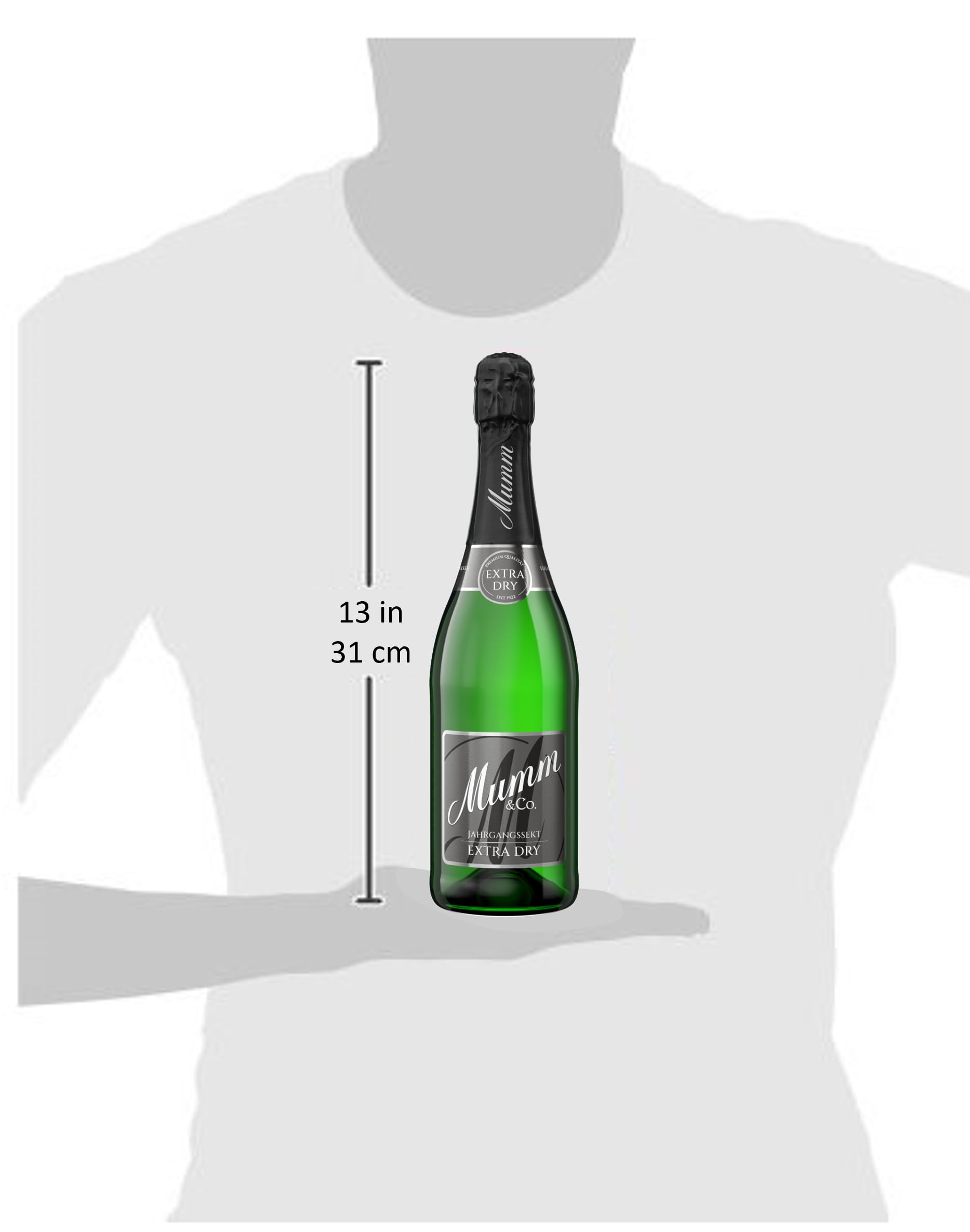 Mumm Extra Dry Jahrgangssekt Extratrocken (6 x 0.75l)