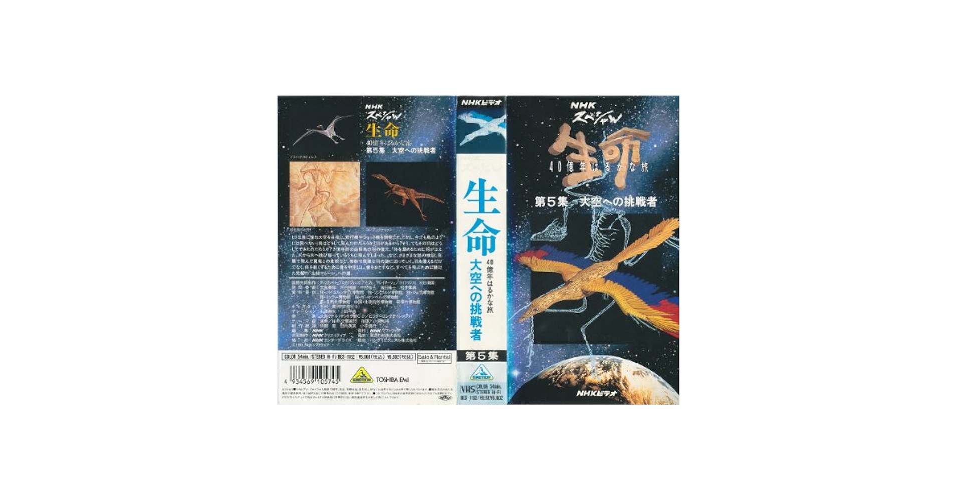 Amazon.co.jp: 生命〜40億年はるかな旅〜第5集「大空への挑戦者