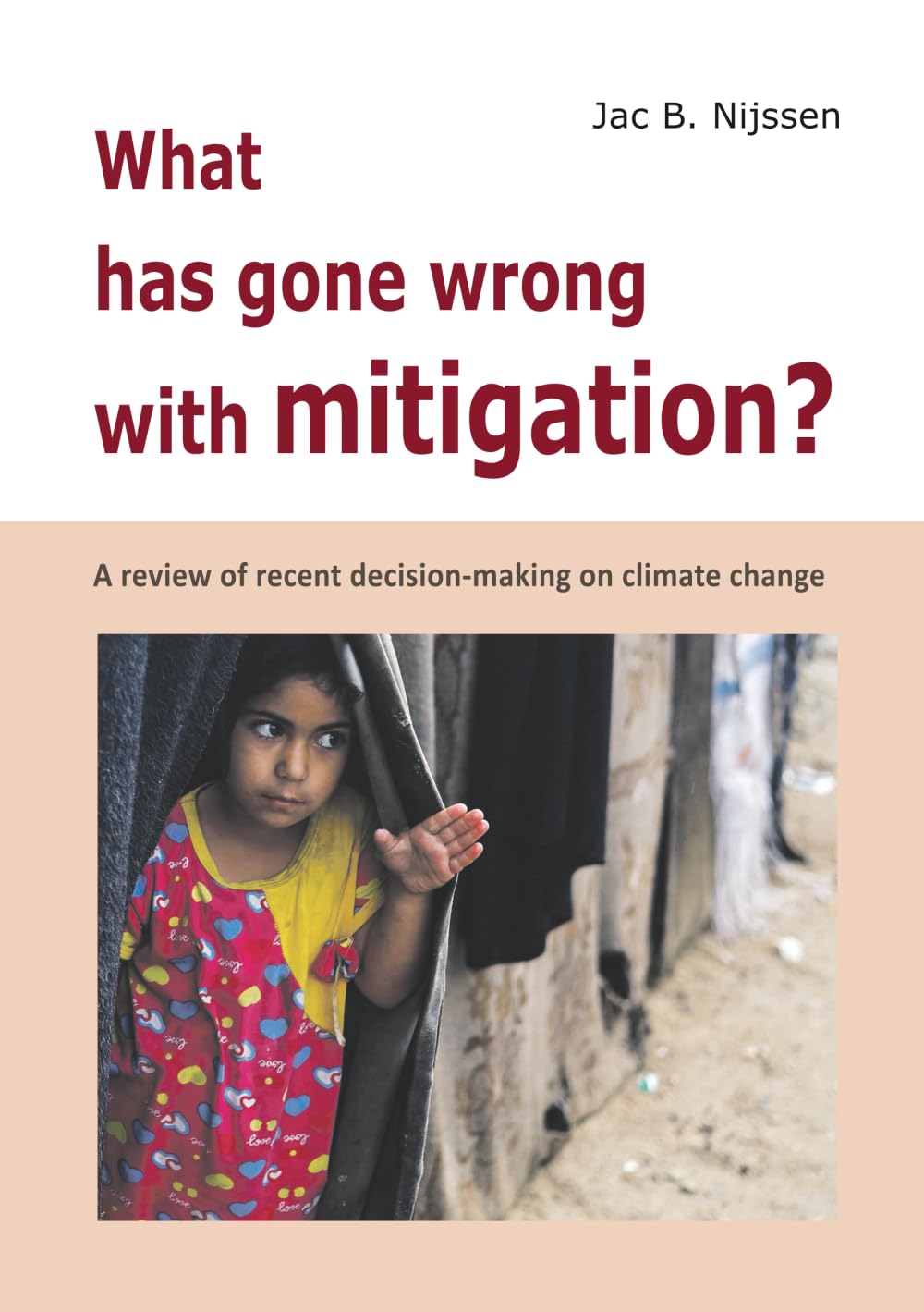 What has gone wrong with mitigation?: A review of the recent decision-making on climate change