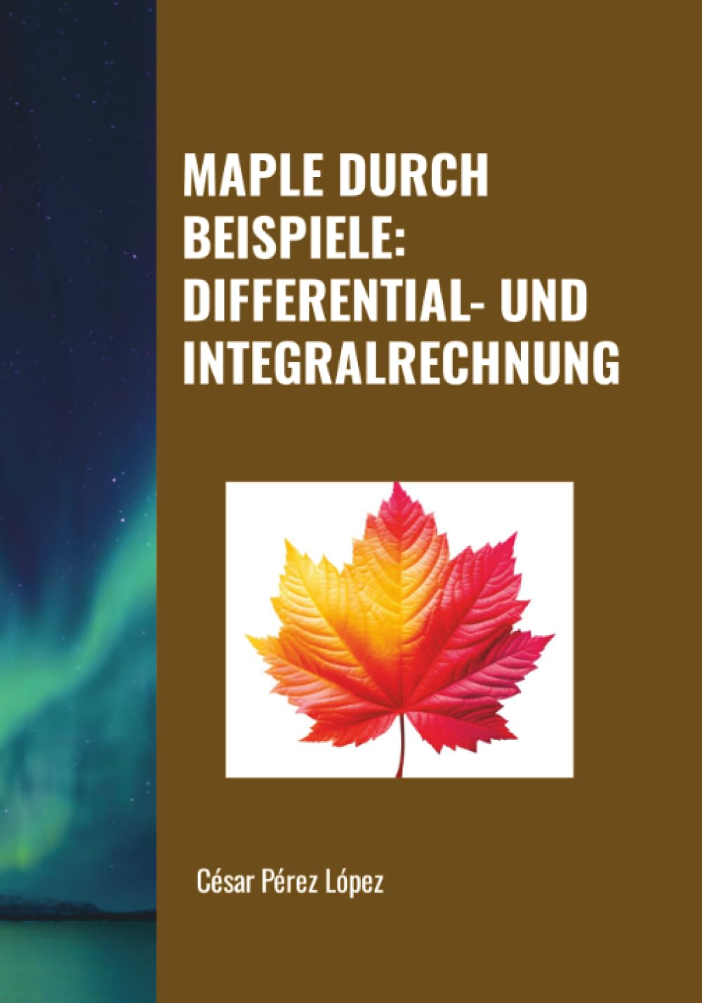 MAPLE DURCH BEISPIELE: DIFFERENTIAL- UND INTEGRALRECHNUNG