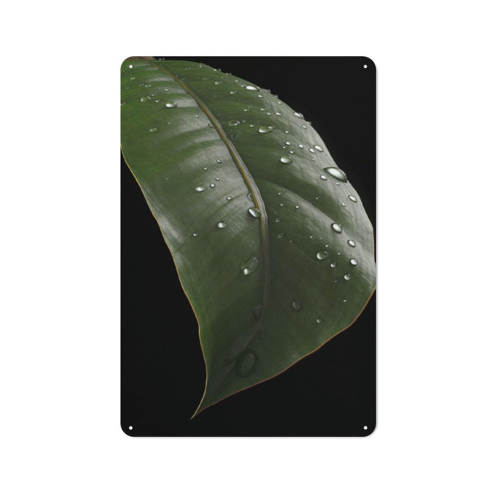 Junmoney Rainy Banana Leaf Rustic Metal Sign 30X20cm Featuring For Hallway Wall, For Collectors Decorating Hallways And Entrance Areas