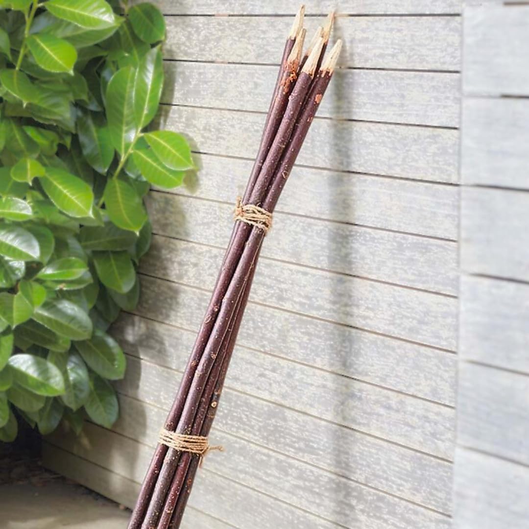 Garden Mile Plant Support Stakes, Metal Garden Plant Stakes, Half Round Plant Support Ring Cage for Peonies, (90cm 5Pcs Ground Spikes, Plain) — image 1