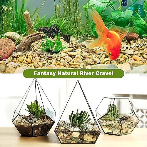 Picture of Snapklik.com : 4.4 Pounds Aquarium Colorful Gravel, Fish Tank ...
