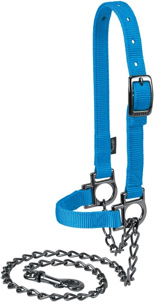 Weaver Leather Sheep Halter