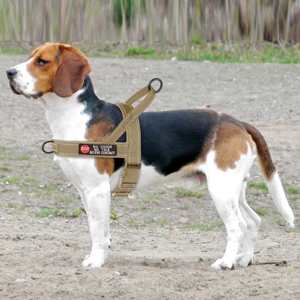Pettorina per Cani in Nylon con Adesivi, Pettorina Riflettente per addestramento Cani, Pettorina Anti-tiro Regolabile (Cachi L)