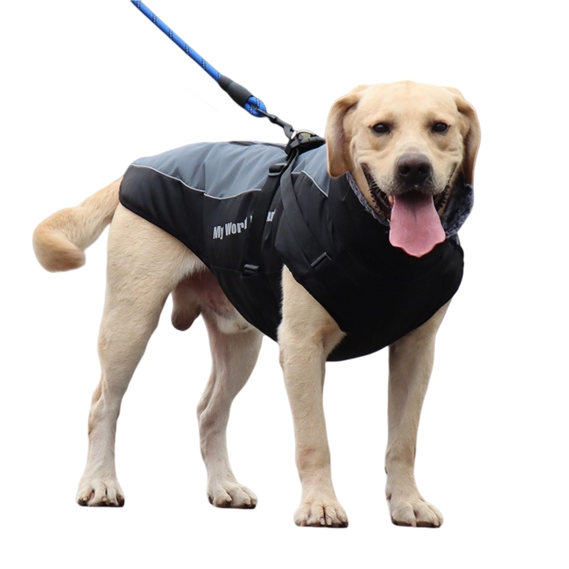 Manteau d'hiver épais et réfléchissant pour grand chien, coupe-vent, imperméable et doublé en polaire, facile à porter, blanc éclatant, taille 5XL