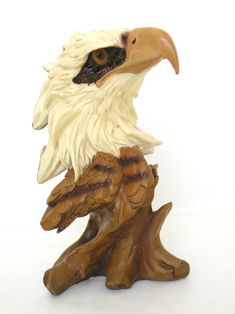 American Eagle Head Design