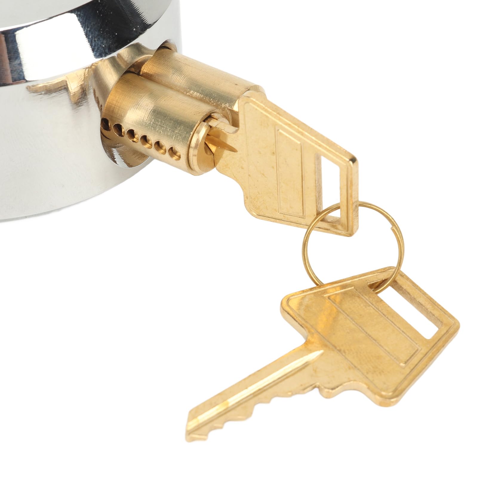 Lucchetti ad nascosti Lucchetto per porta del rimorchio ad alta sicurezza resistente alle indiscrezioni con 2 chiavi per contenitori di magazzini