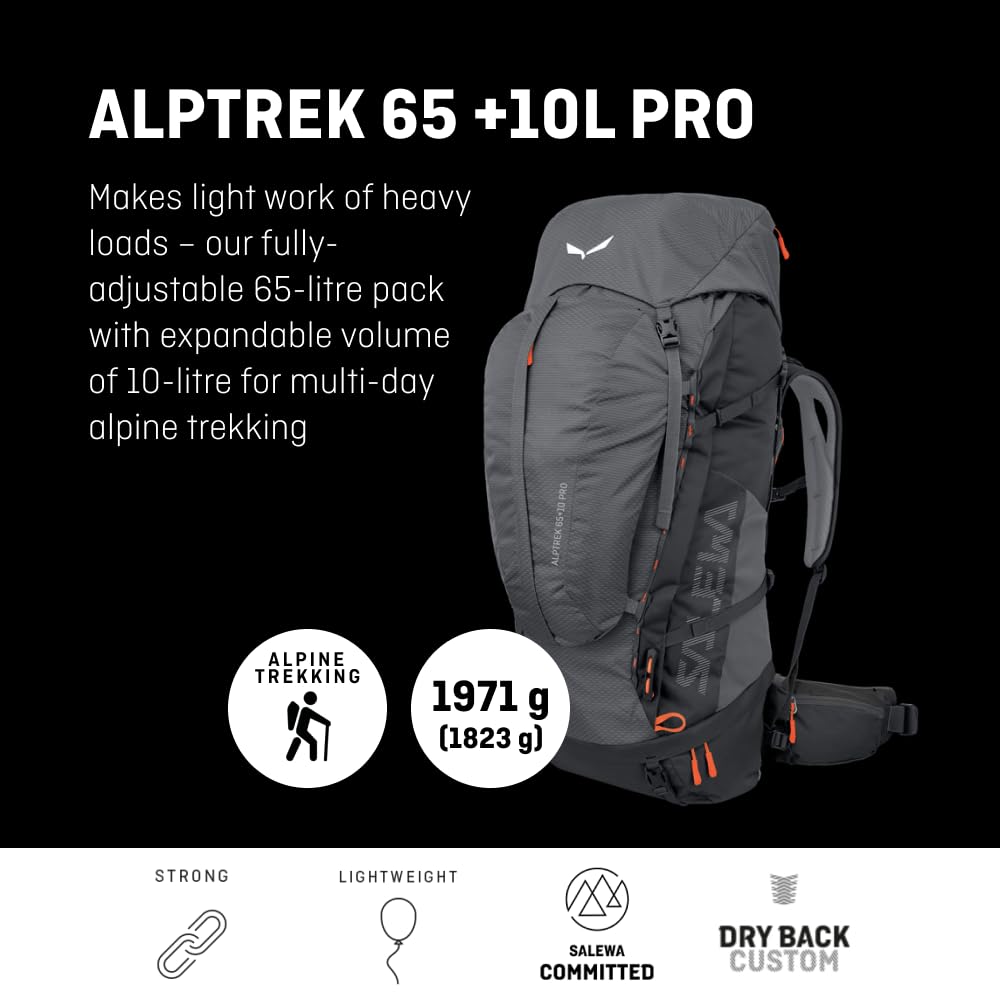 SALEWA ALPTREK 65 +10 PRO BP