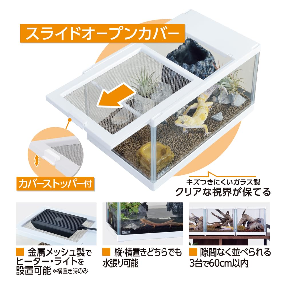 Amazon | 【ジェックス】レオパ飼育キットS TV | ペットグッズ・りりあ
