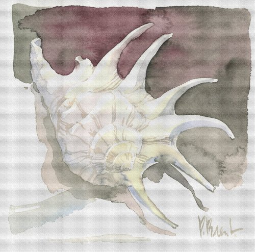 Art Needlepoint Contemporary Shell Needlepoint Kit by Paul Brent