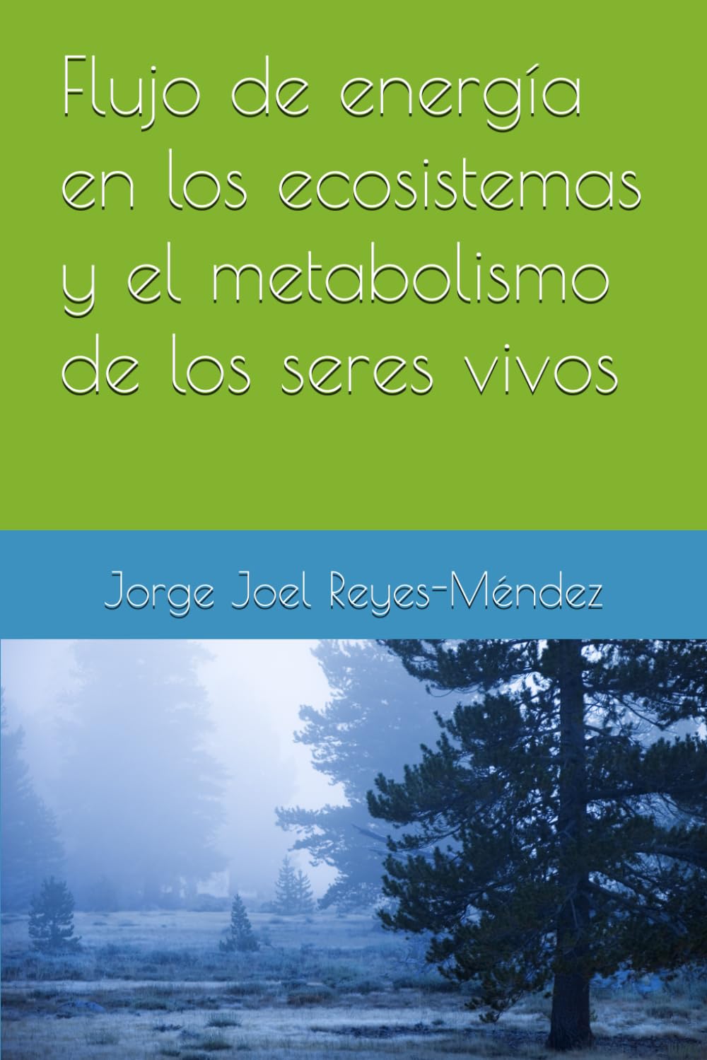 Flujo de energía en los ecosistemas y el metabolismo de los seres vivos (Bioenergética de los seres vivos)