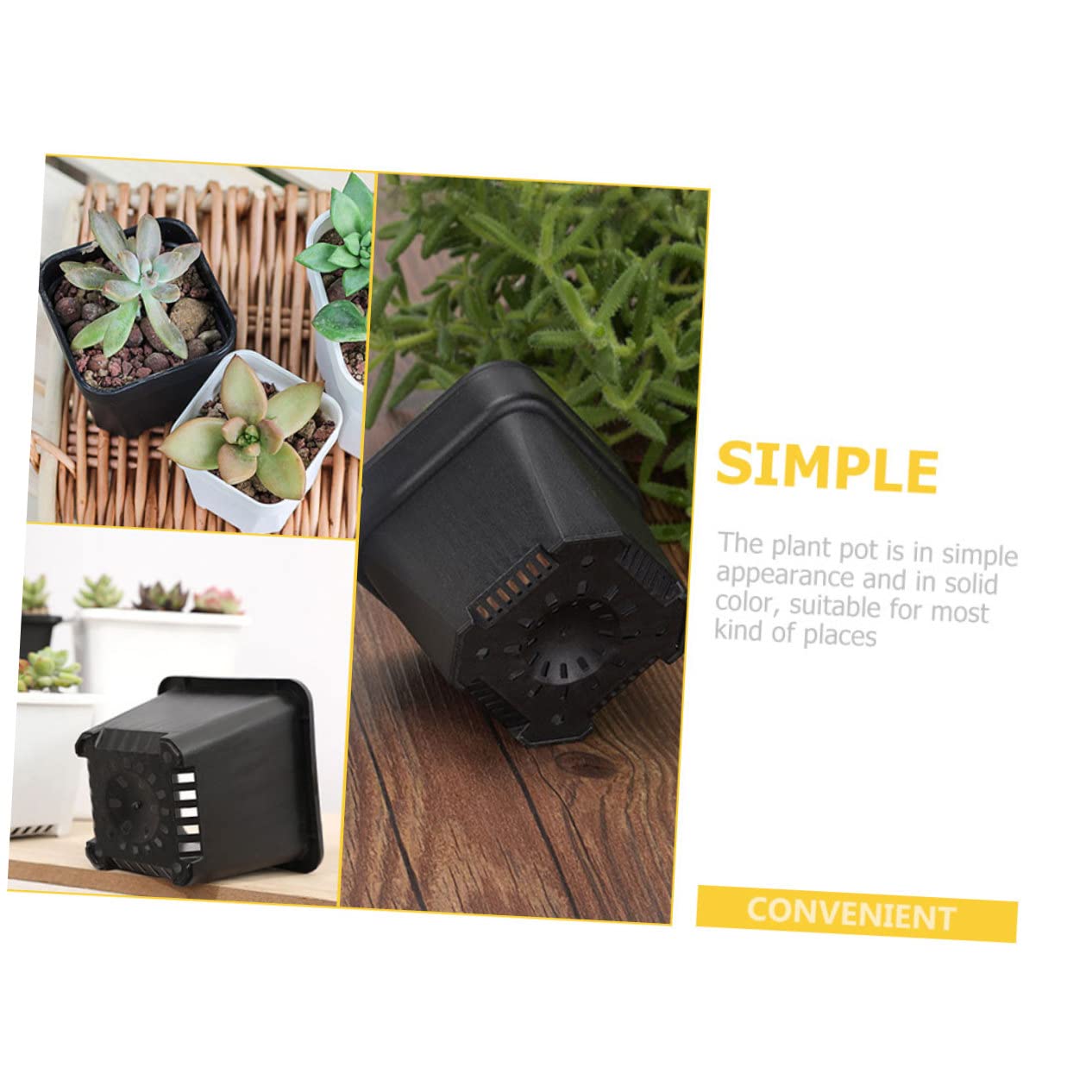 Kisangel 60 Pièces Pot De Semis Jardinière De Départ Pots De Plantes s De Plantation Polyvalents ES pour L' Jardinière Succulente De Fleur Mini PP