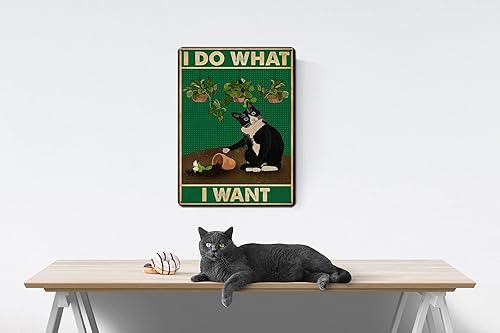 Miniatura 4 de KONMPFEY Cartel de metal divertido para los amantes de los gatos póster de pared con texto en inglés I Do What I Want Art decoración de gato para