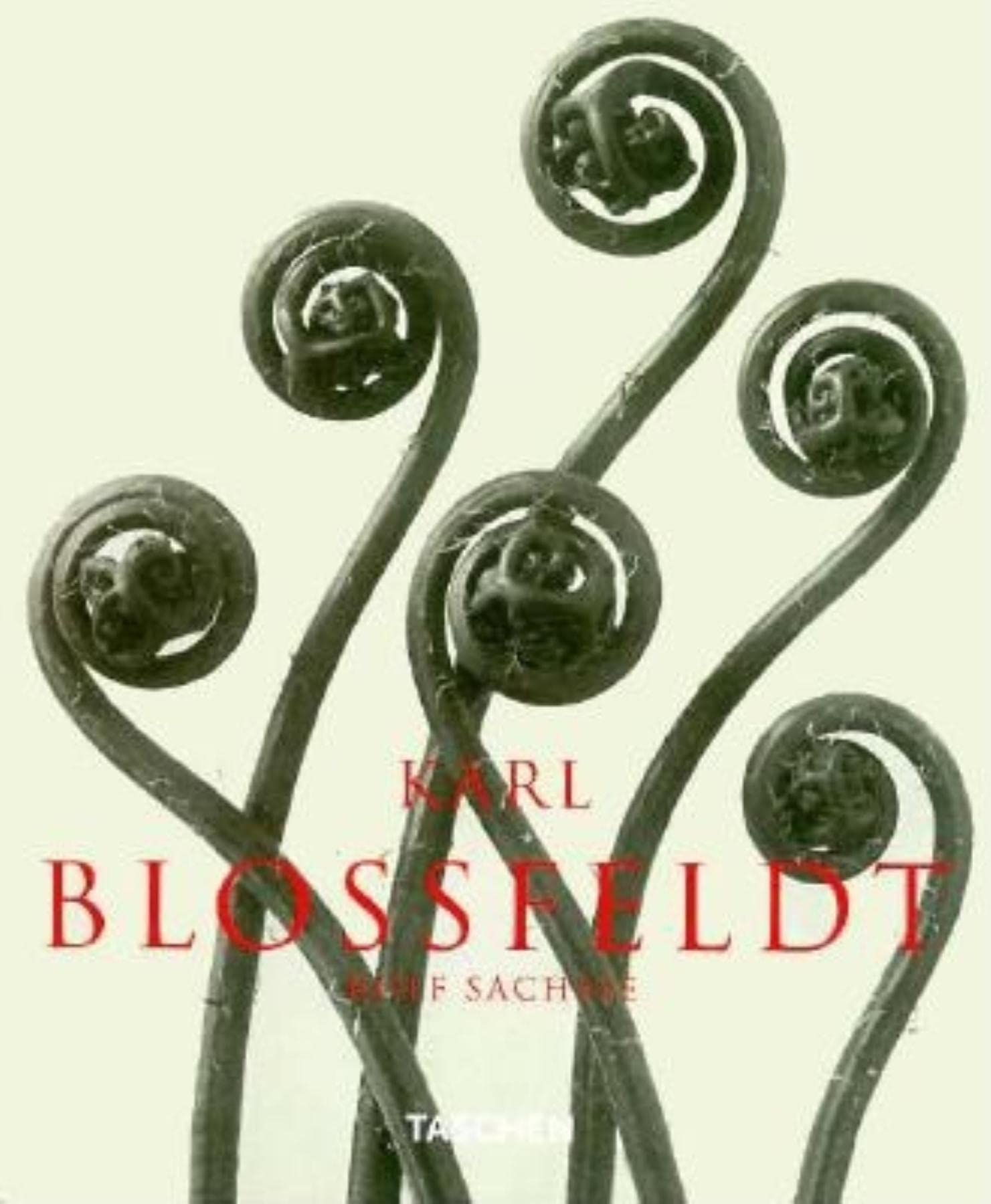 Karl Blossfeldt Photographs 1865-1932 le cadeau idéal pour passionnés de photo
