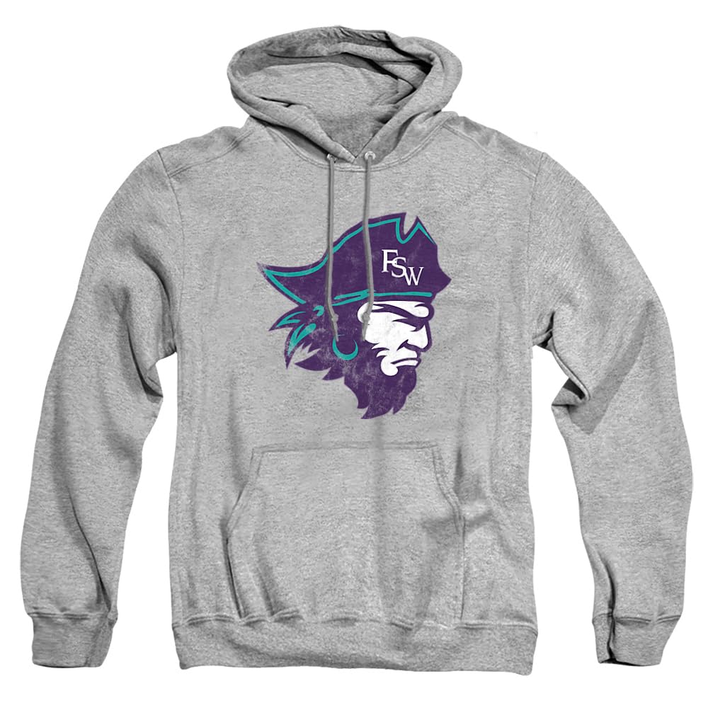 LOGOVISION Official Collegiate Distressed Primary Logo Adult Pullover Hoodie Collection — view 436