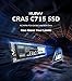 KLEVV CRAS C715 1TB M.2 2280 NVMe PCIe Gen3x4 Laptop & Desktop, up to 3200MB/s (K01TBM2SP0-C7T)