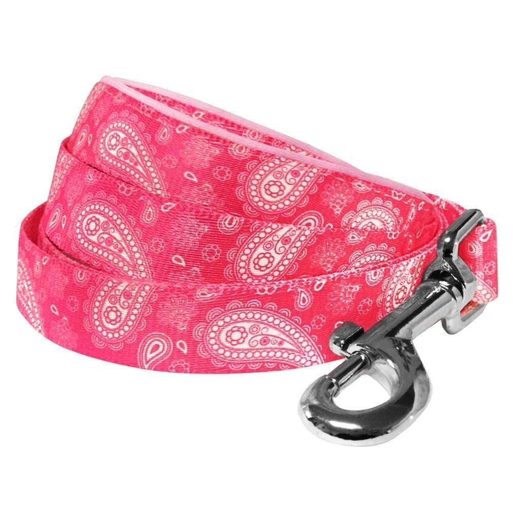 Blueberry Pet 5 Colors Paisley Flower Print Dog Leash with Soft & Comfortable Handle, 5 ft x 5/8", Pink, Small, Leashes for Dogs