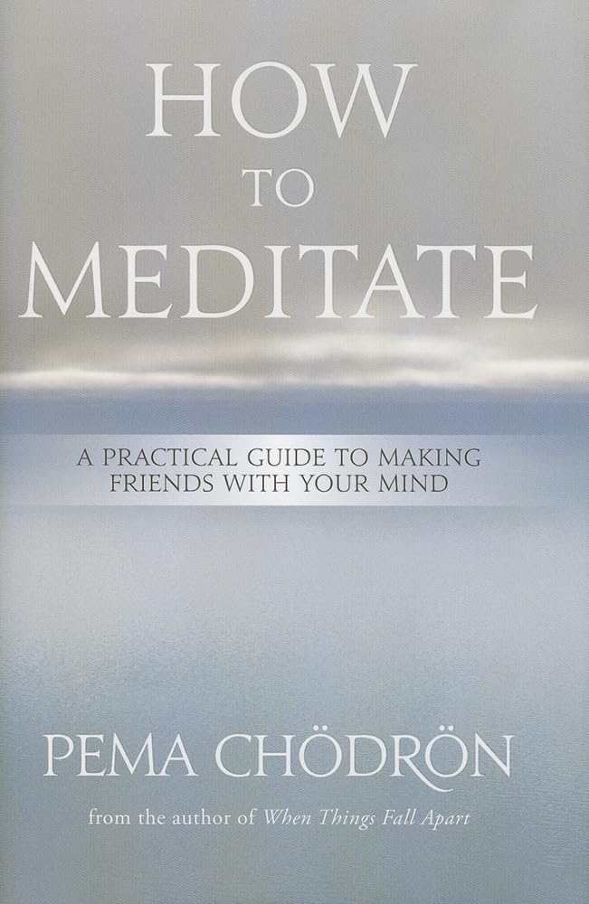 How to Meditate: A Practical Guide to Making Friends with Your Mind Hardcover – May 1, 2013