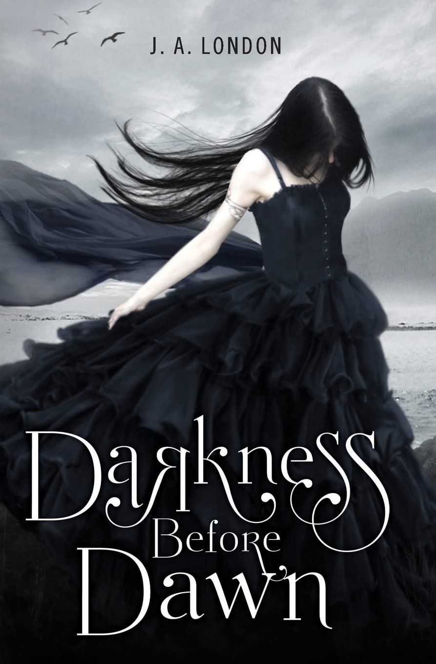 Amazon.com: Darkness Before Dawn (Darkness Before Dawn, 1 ...