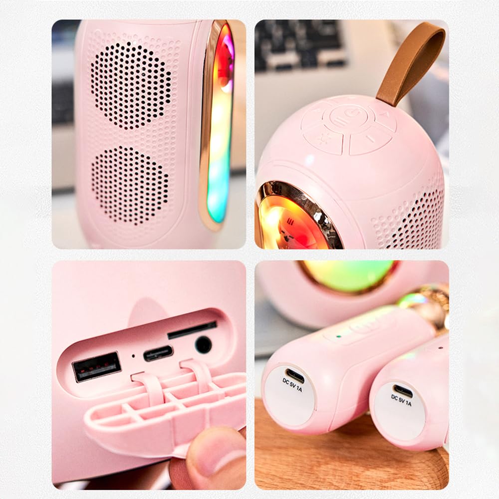 Macchina per Karaoke con 2 Microfoni Mini Altoparlante Portatile in ABS per Feste in Casa in Famiglia All'aperto (PINK)