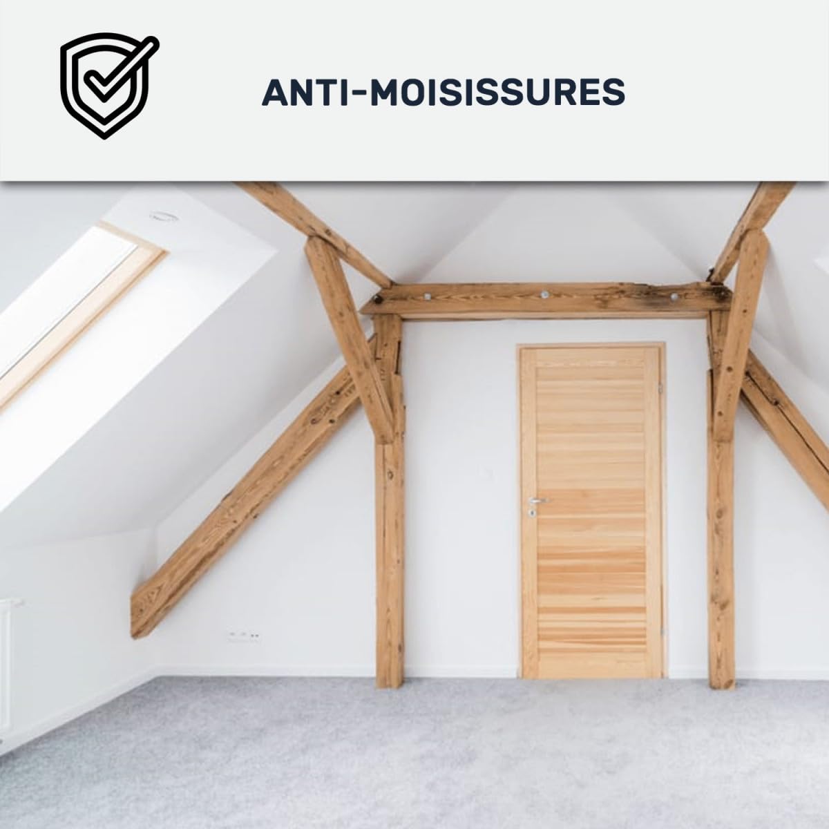 Peinture anti condensation, anti odeur, moisissure - 2.5 L Rouge beige - RAL 3012 - ARCANE INDUSTRIES