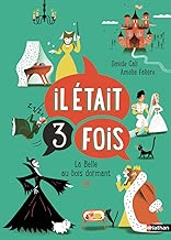 Download Il était 3 fois - La Belle au bois dormant PDF