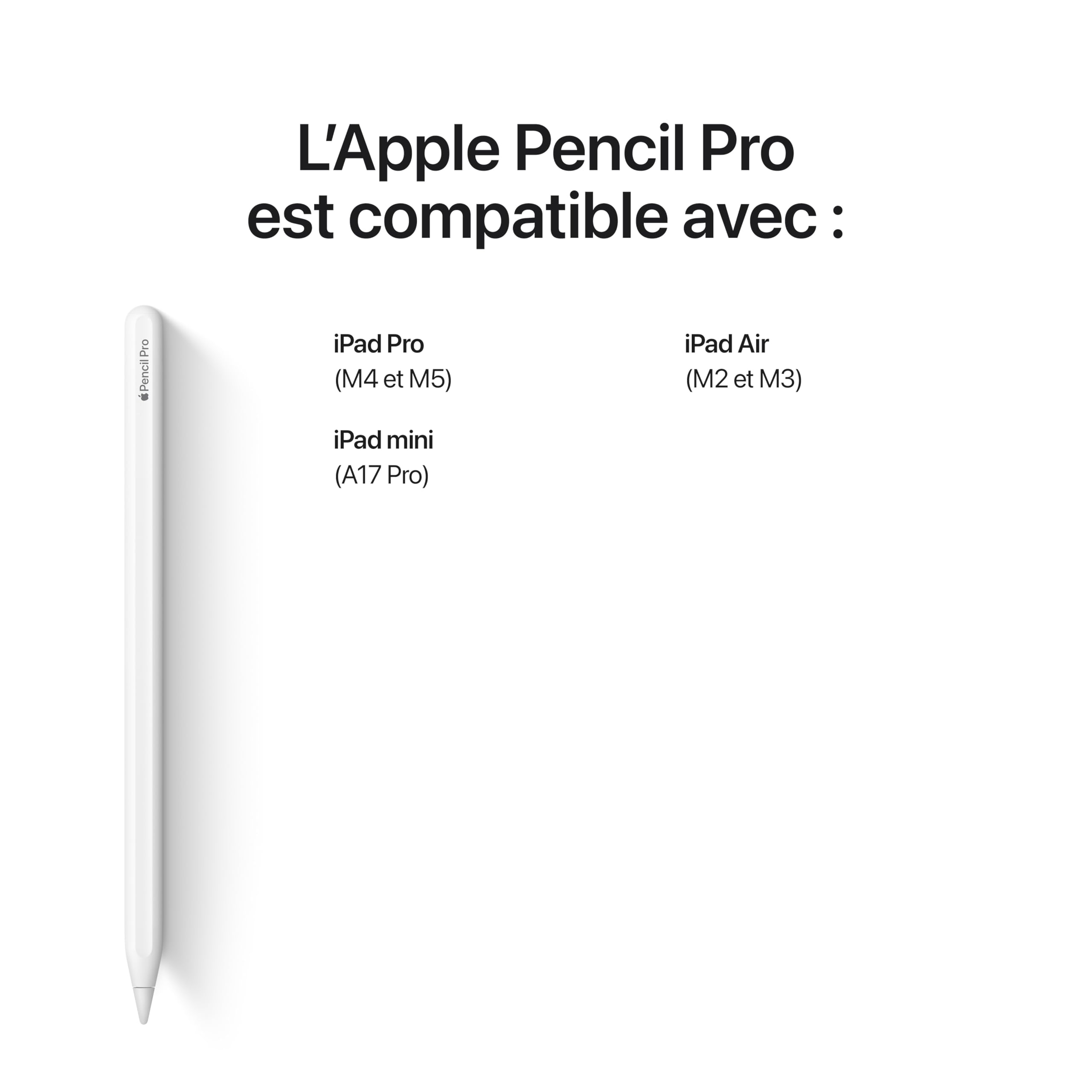 Amazon.ca: Apple: iPad Accessories