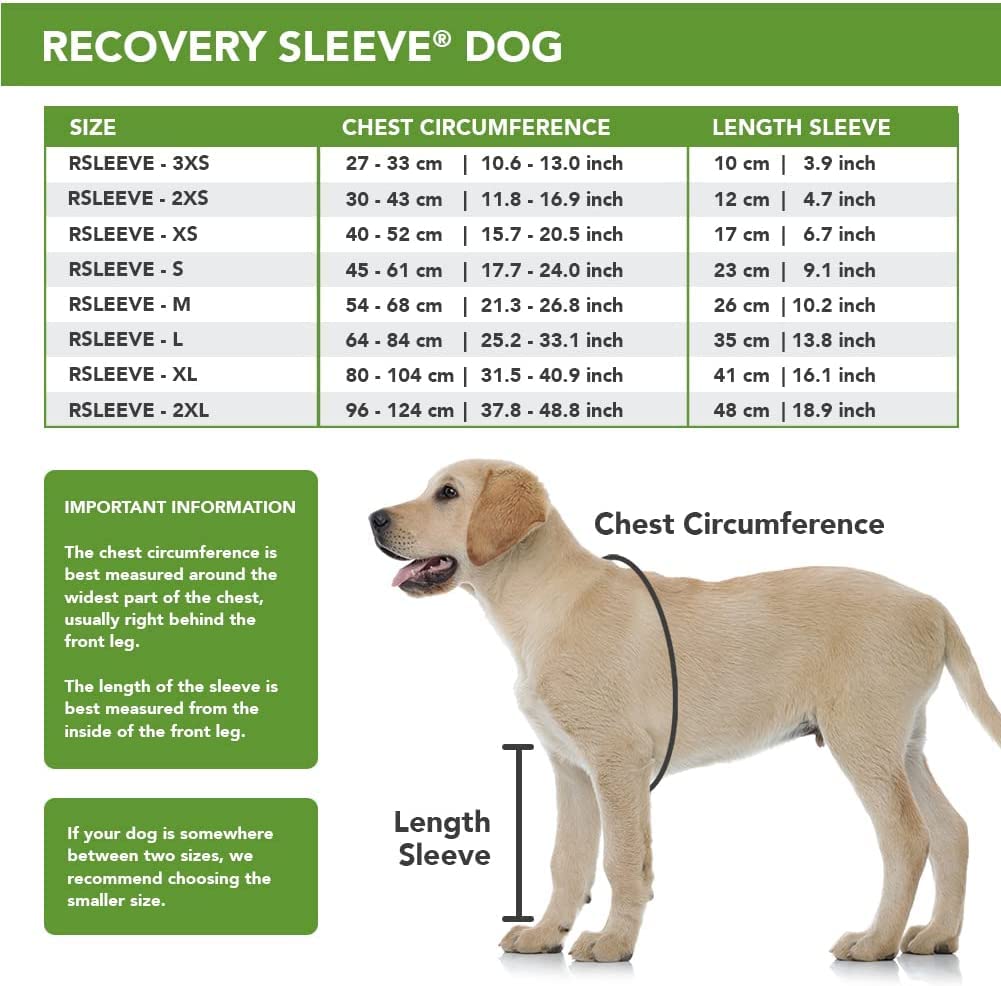 How Much Does A Dog Tail Amputation Cost