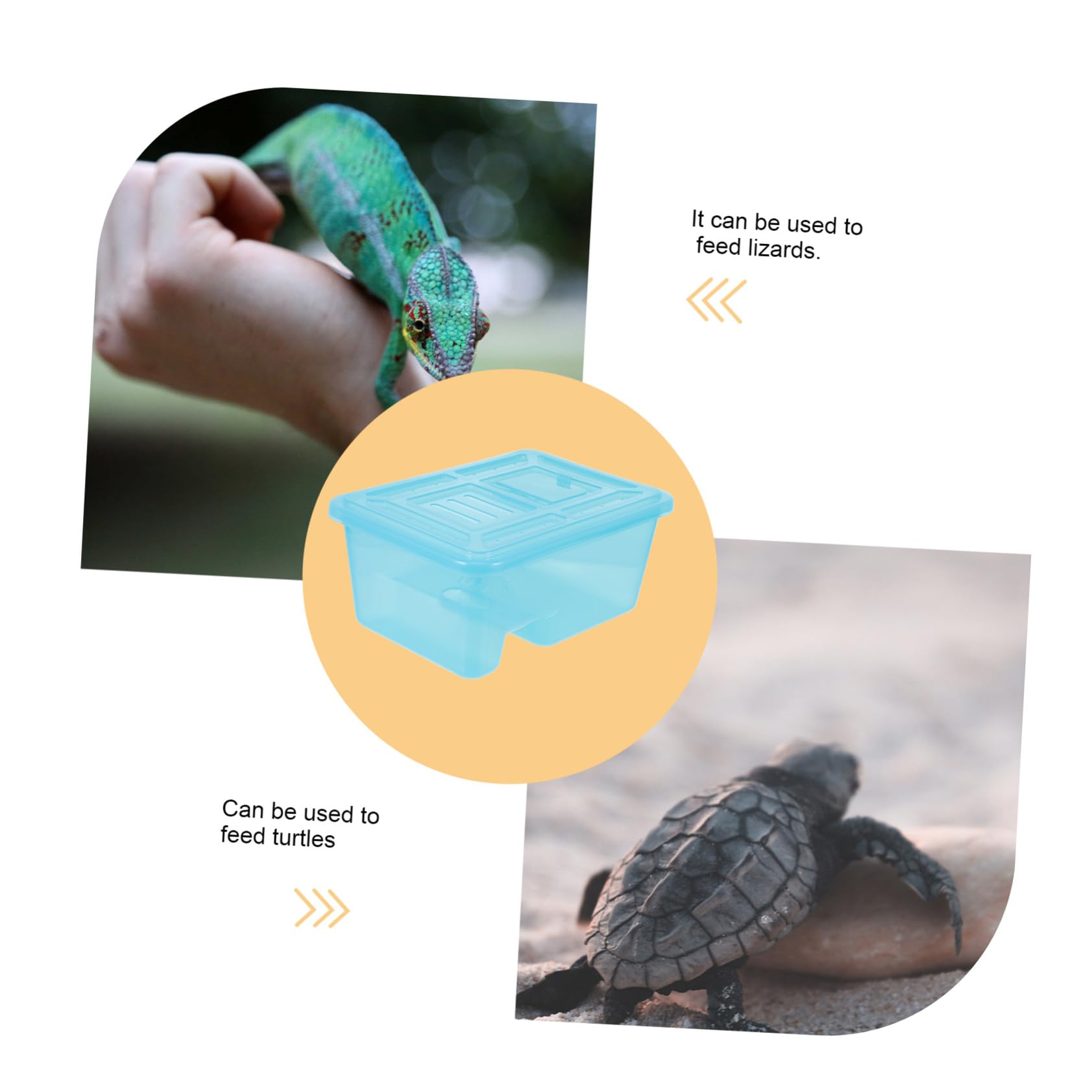 Happyyami Terrario Stagno Plastica e Tartarughe Blu a Piattaforma per Arrampicata Vasca Tenuta Stagna Rettili
