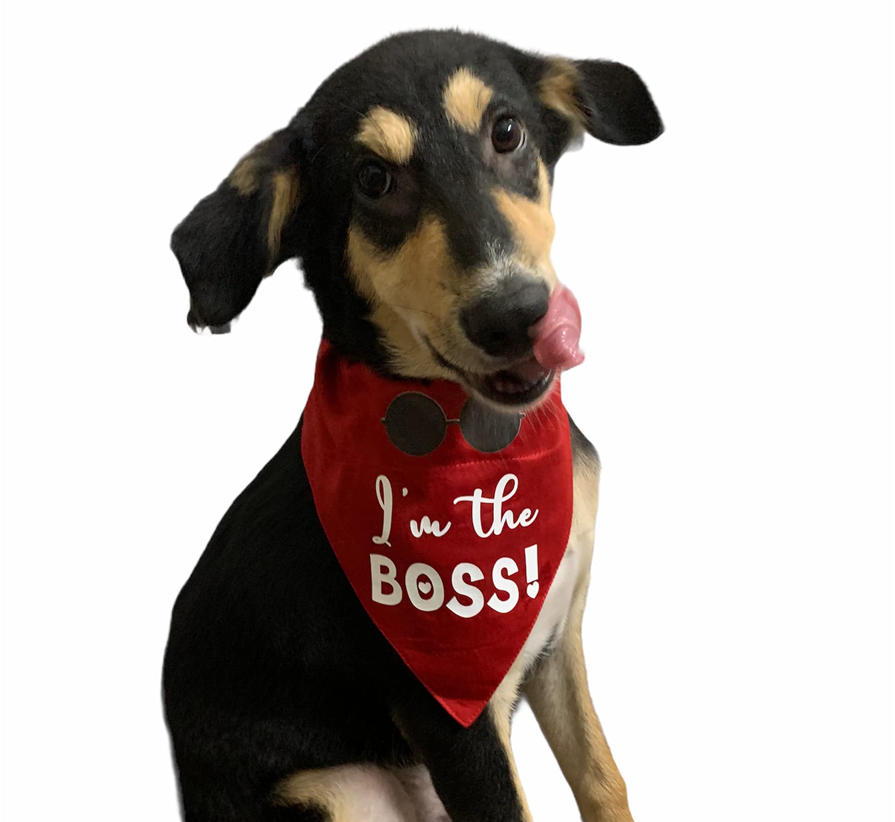 See full amazon price history chart for For The Fur Kids Im The Boss Dog Bandana/Dog Scarf (Red) For The Fur Kids Im The Boss Dog Bandana/Dog Scarf (Red) (B09B6GPC99) Amazon Price History, Amazon Price Tracker
