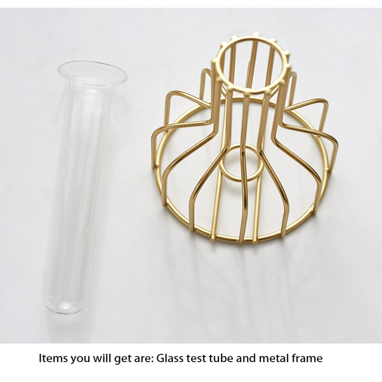 2 Pcs Gold Flower Vase with Metal Frame, Clear Glass Test Tube Vases Decorative - Image 3