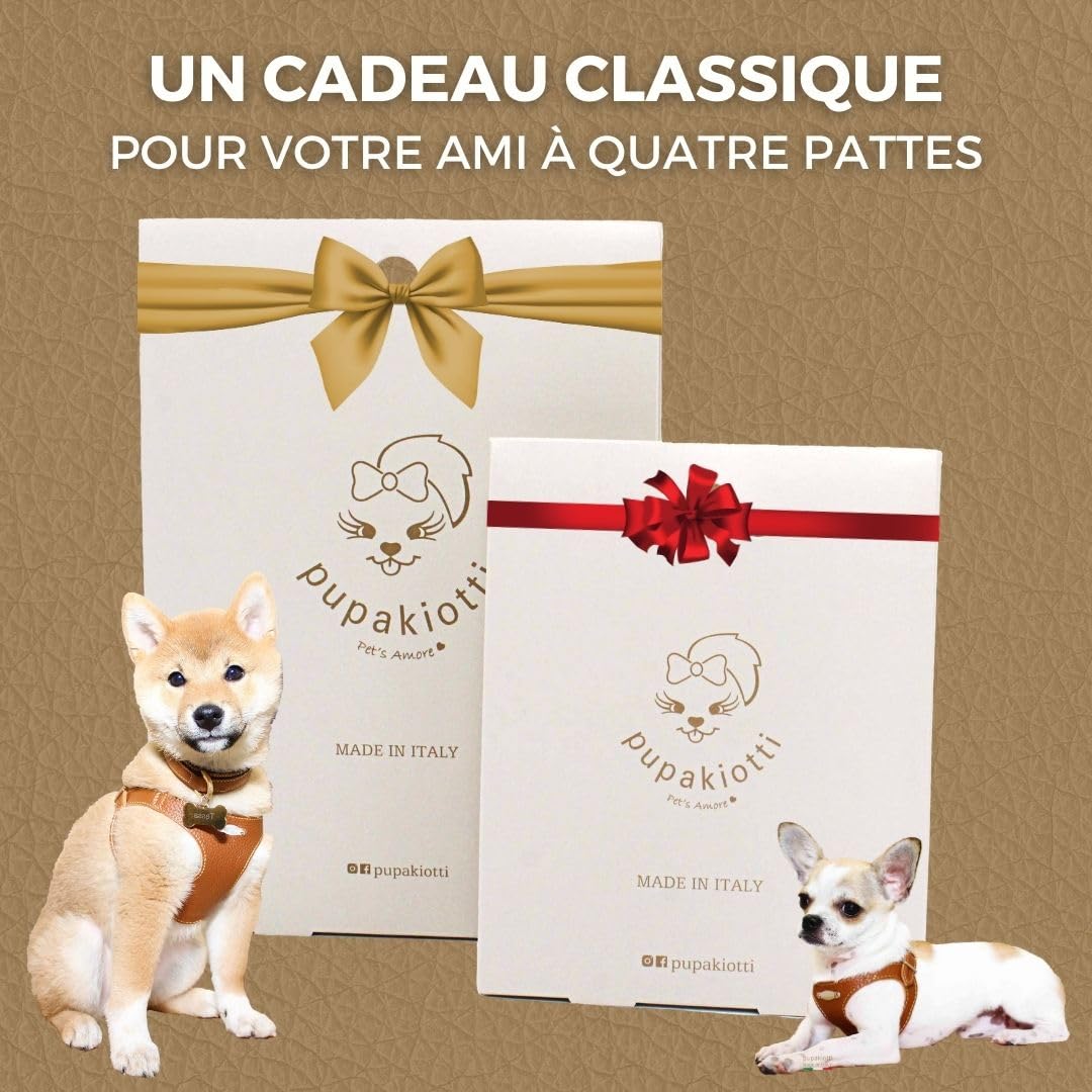 Basic Harnais pour Chien de Taille Petite et Moyenne | Harnais pour Chien Ergonomique et réglable en Cuir véritable fabriqué à la Main en Italie (M-L, Cuir)
