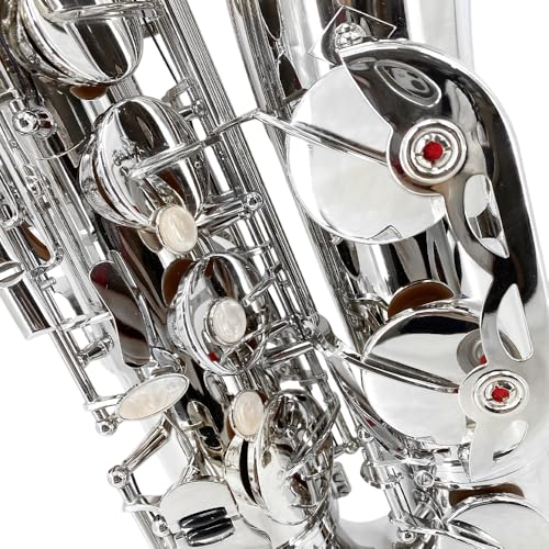 Image of Yinfente Bb Tenor Saxophone Professional Beginner Kit-B Flat Tenor Sax Complete Student Set with Hard Case,Reeds,Cleaning Cloth,Neck Straps,Mouthpiece Silver