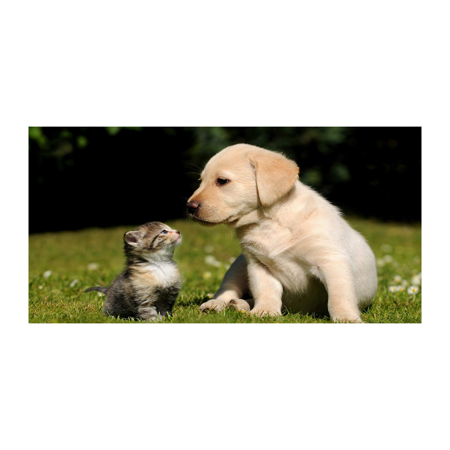 Tableau photo decorative de qualite superieure en verre Tulup 120x60 cm motif animaux de la ferme