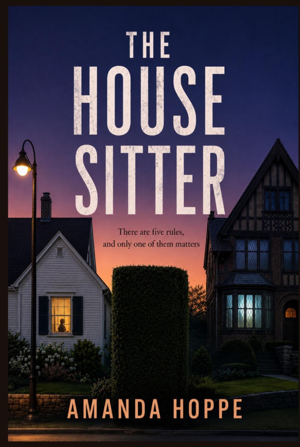 The House Sitter (The Five Rules)
