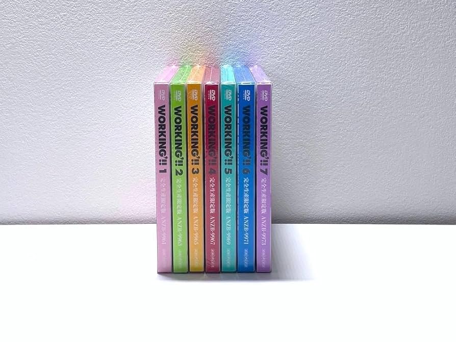 新品未開封 DVD WORKING'!! 完全生産限定版 CD付き 全7巻セット 新品未開封 DVD WORKING'!! 完全生産限定版 CD付き 全7巻セット