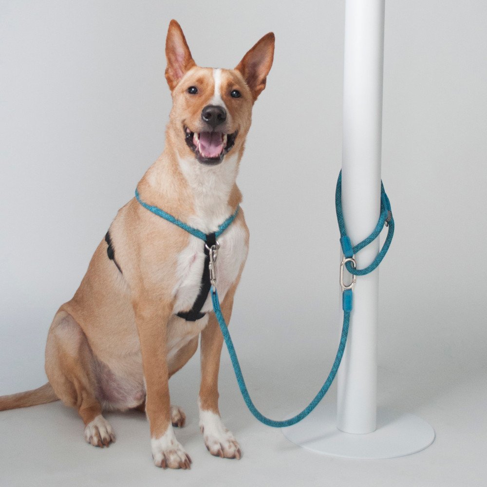 High5Dogs, Leisure Clic Ergonomic Dog Lead, 13 mm Wide and 140 cm Long, Durable Material, Blue Colour - Image 2