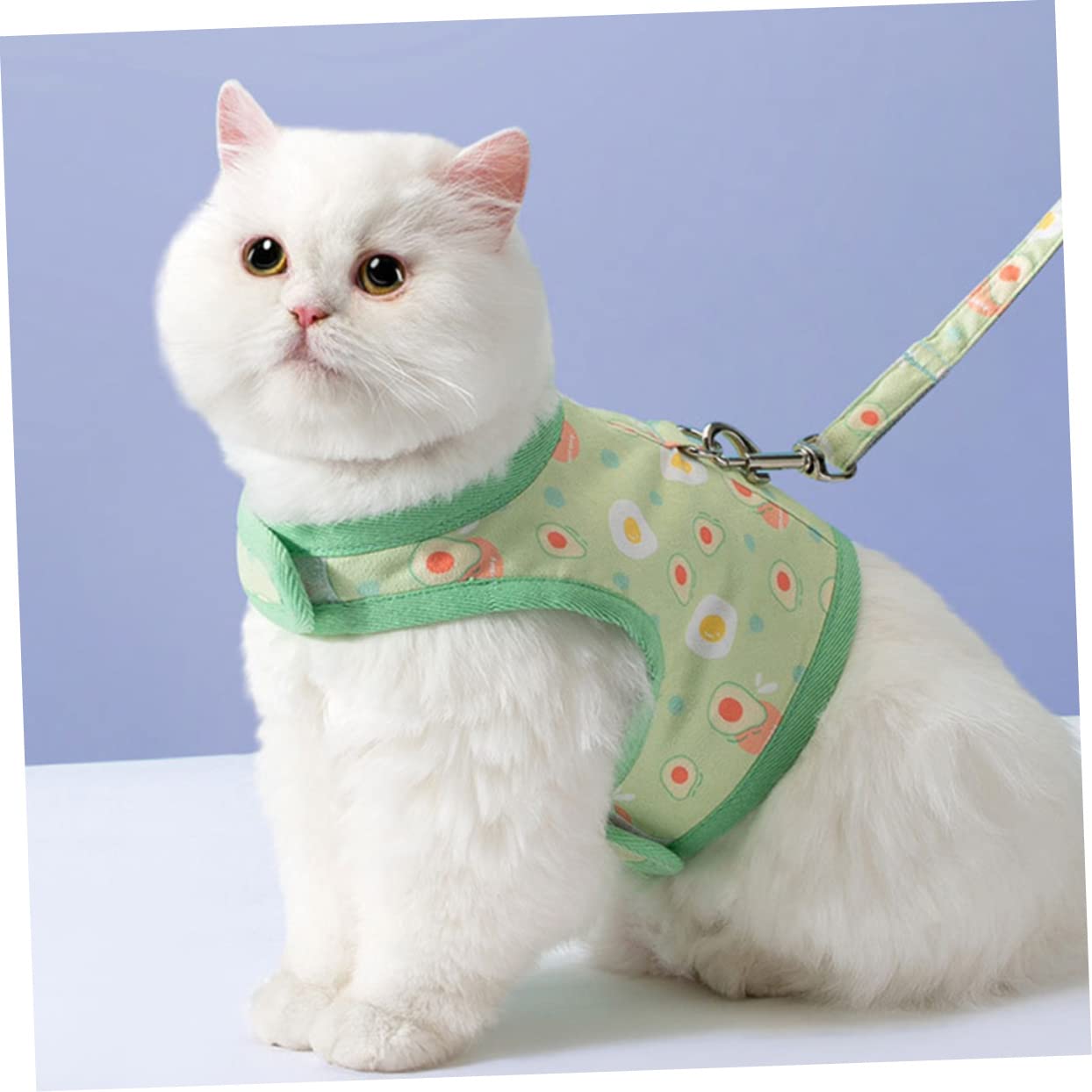 Kisangel 4ensembles Harnais Maille pour Chat avec Laisse Design Avocat Adorable pour Chiots Et Accessoires De Promenade pour Animaux
