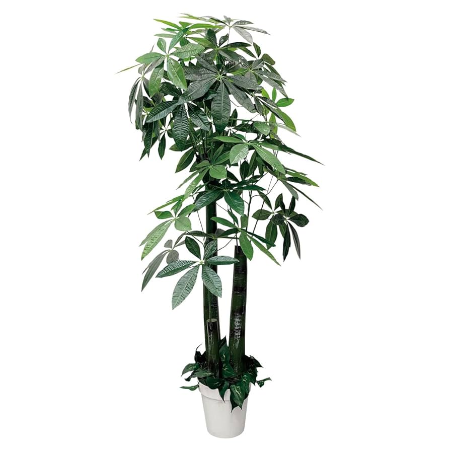 Amazon | フェイクグリーン パキラ 高さ180cm 【 フェイク