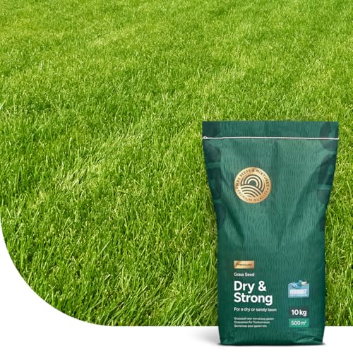 MRS Dry & Strong : Gazon résistant à la sécheresse - 10 kg pour 500 m² - Gazon de qualité supérieure pour terrains secs - Économisez de l'eau et de l'argent -...