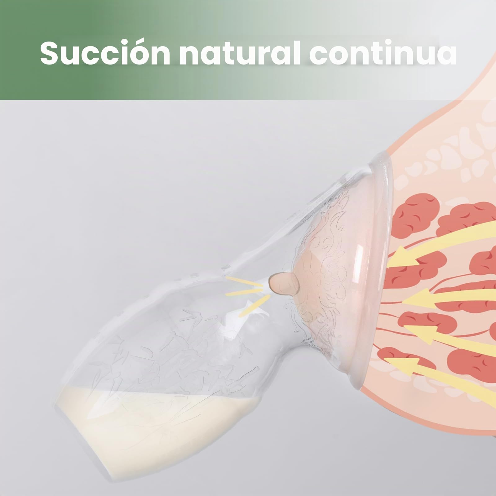 Haakaa 100 ML - Sacaleche de silicona con tapa, transparente sacaleches manual, recolección de leche, saludable e inocuo, ahorra cada gota de leche materna