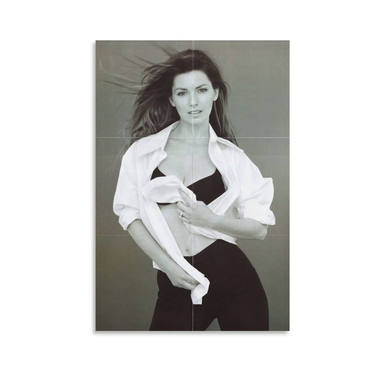 Shania Twain Poster Singer Sexy (13) Art Poster Canvas Painting Decor Wall  Print Photo Gifts Home Modern Decorative Posters FramedUnframed  12x18inch(30x45cm) : Amazon.ca: Home