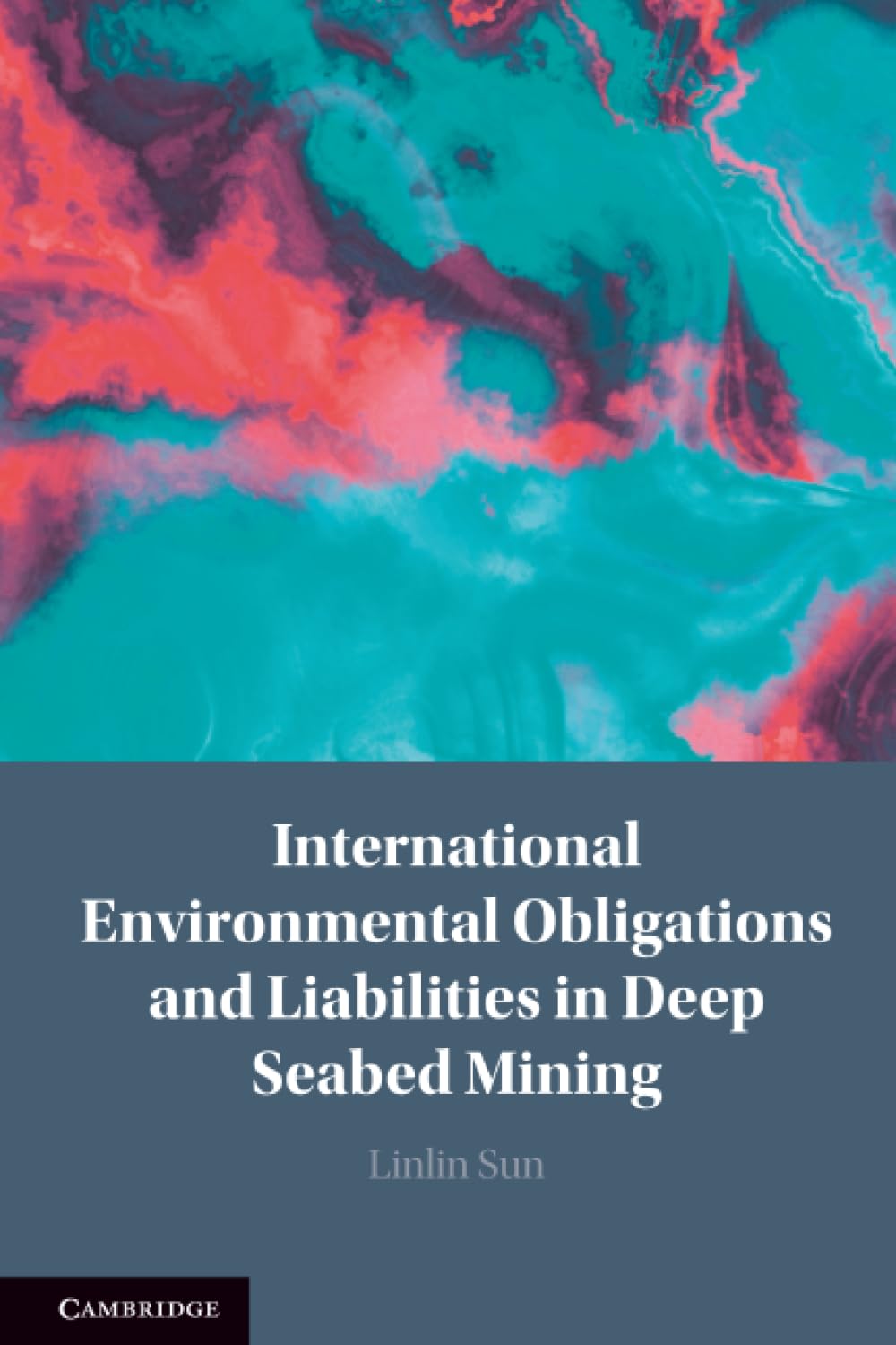 International Environmental Obligations and Liabilities  by Linlin Sun PAPERBACK