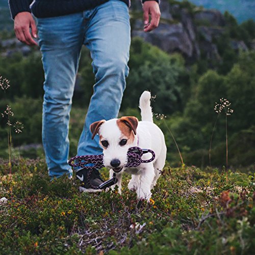 Hurtta Casual Corda guinzaglio del Cane