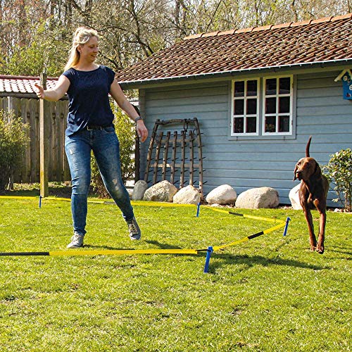 Schecker Longier Set für Hunde mit einem Radius von 3-3,5 m stärkt Konzentration Aufmerksamkeit longieren Hund