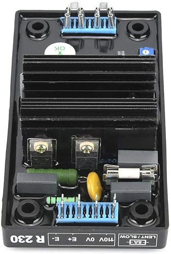 Miniatura 8 de YWBL-WH Regulador de voltaje R230 AVR sin escobillas 120VCA automático monofásico generador de dos líneas