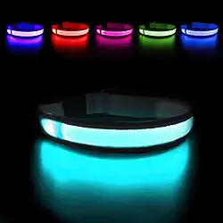 MASBRILL Coleiras para cães iluminadas – Coleira de cachorro com LED recarregável, leve, resistente à água, caminhadas noturnas, que brilham no escuro