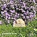 Cat Memorial Stones Grave Markers with A Sleeping Cat Statue on The Top - Cat Garden Stones Grave Stones Cemetery Markers Sympathy Cat Memorial Gifts Loss Gifts Outdoors, 8.5